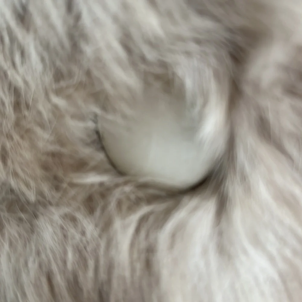 Winter White and Light Taupe Rabbit Coat - Picture 11 of 13